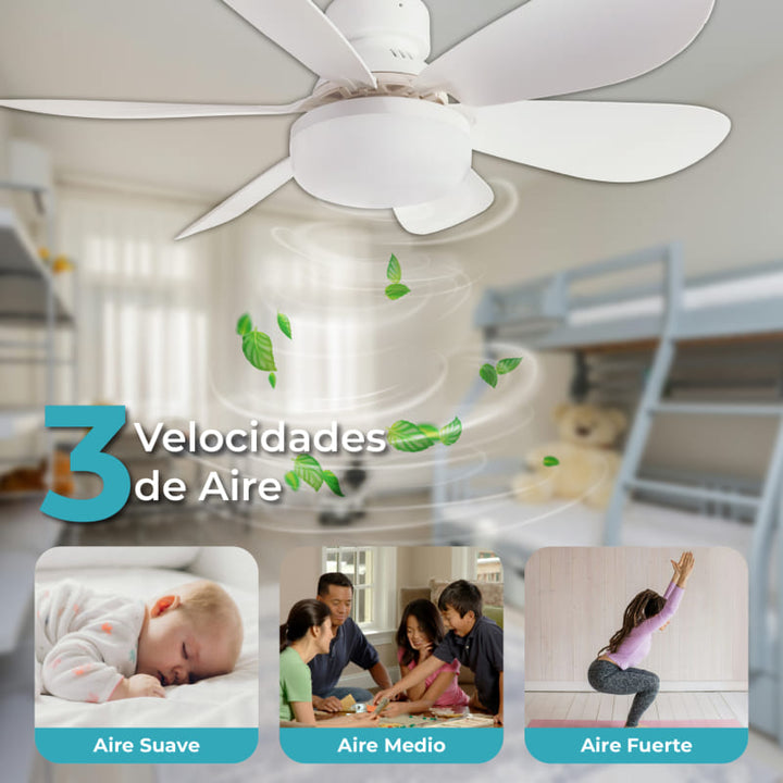NUEVO FOCO VENTILADOR DELUXE - 6 ASPAS